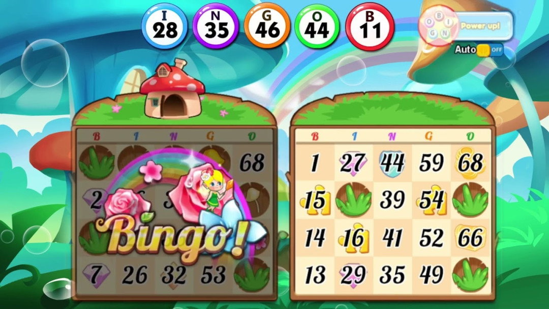 Bingo Holiday